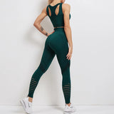 Fitness Pants / Gym Leggings