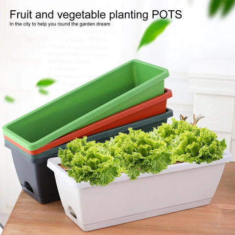 Vegetable Planter - Large Capacity with Edge Drain Hole